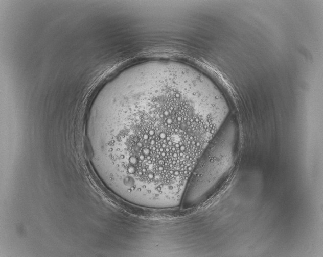 X0000115790529200912041514