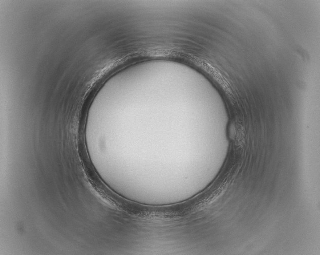 X0000115790530200912041514