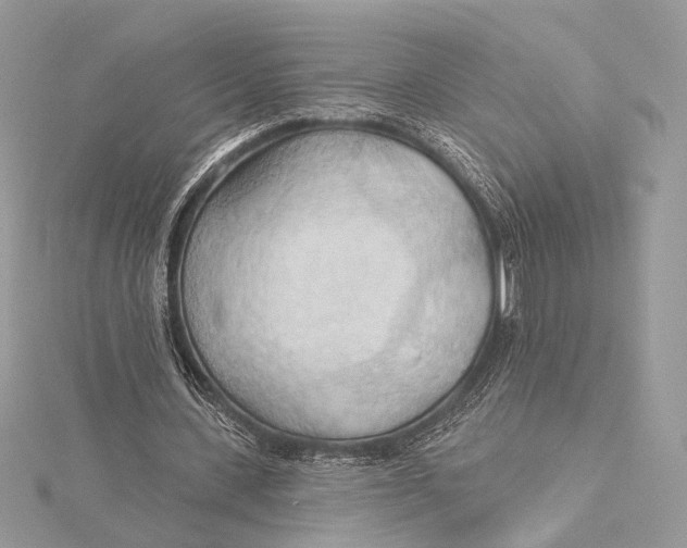 X0000115790531200912041514