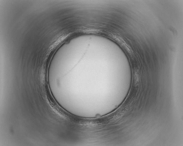 X0000115790533200912041514