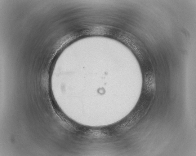 X0000115790534200912041514