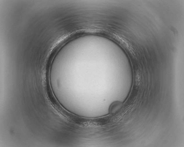 X0000115790535200912041514