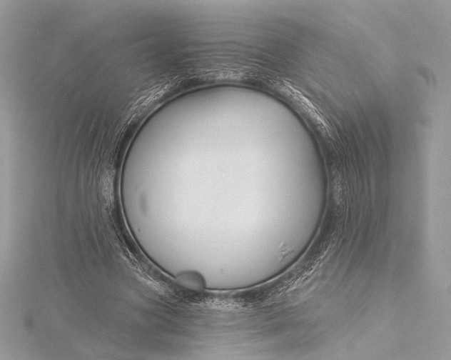 X0000115790537200912041514