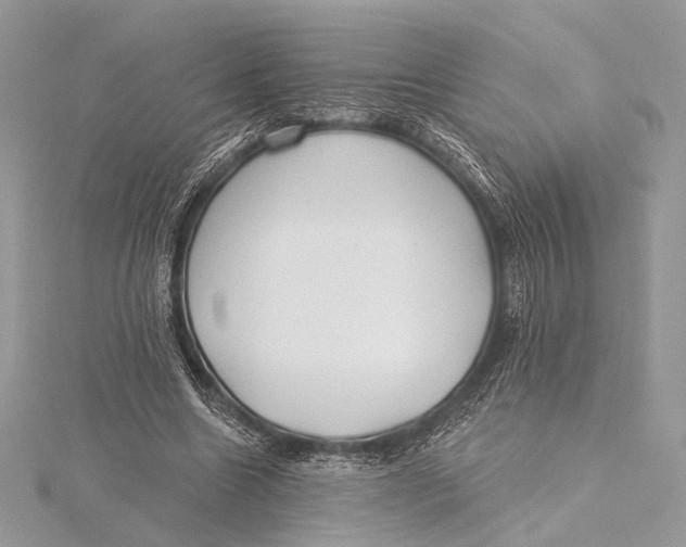 X0000115790538200912041514