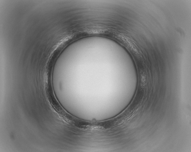 X0000115790539200912041514