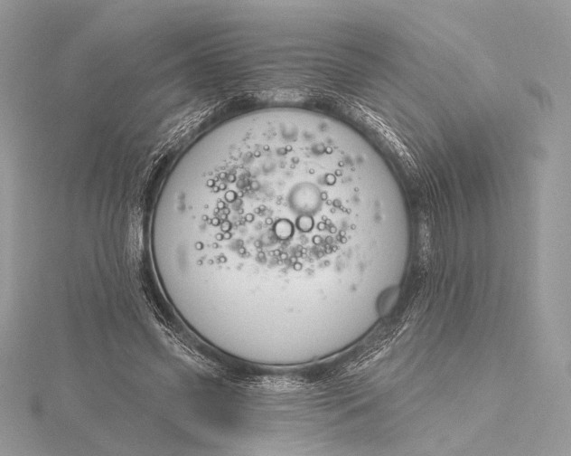 X0000115790541200912041515