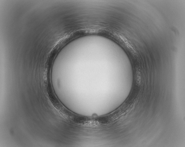 X0000115790543200912041515