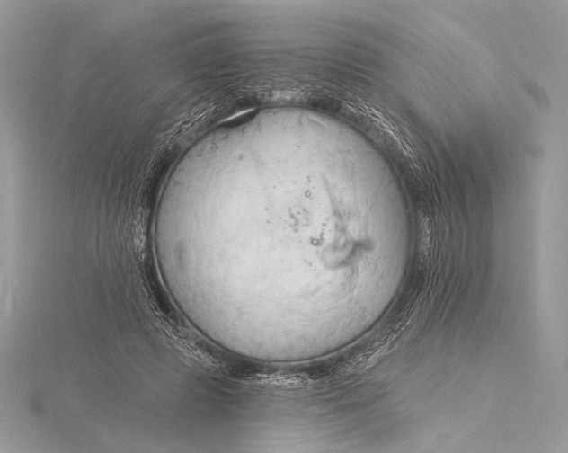 X0000115790545200912041515