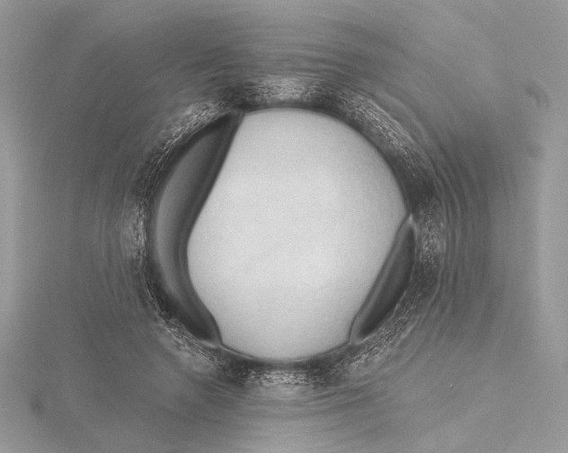 X0000115790546200912041515