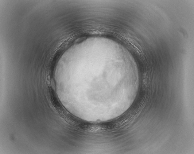 X0000115790547200912041515