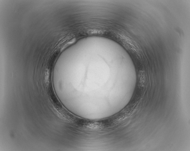 X0000115790550200912041515