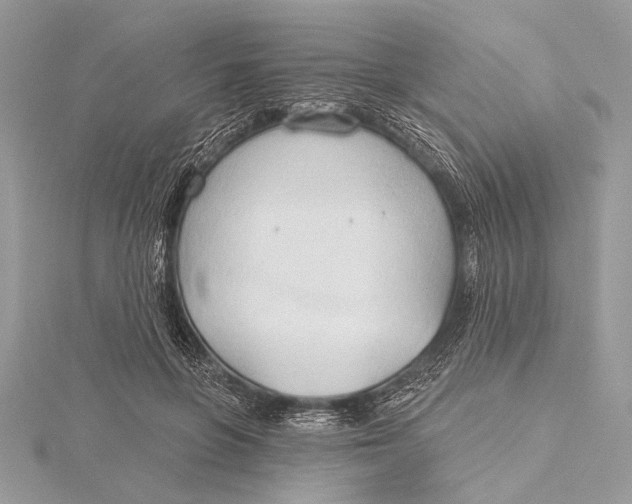 X0000115790551200912041515