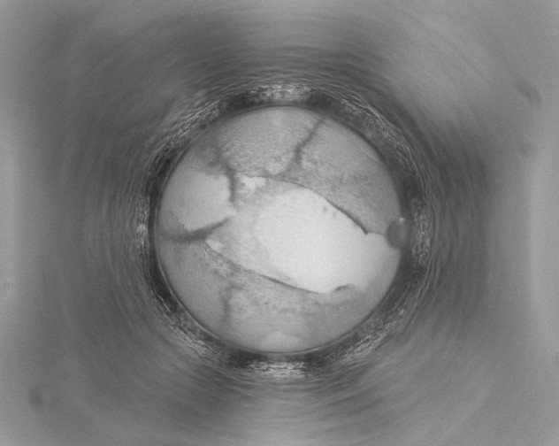 X0000115790553200912041515