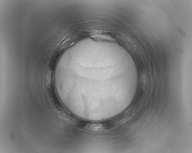 X0000115790554200912041515