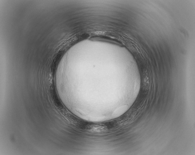 X0000115790555200912041515