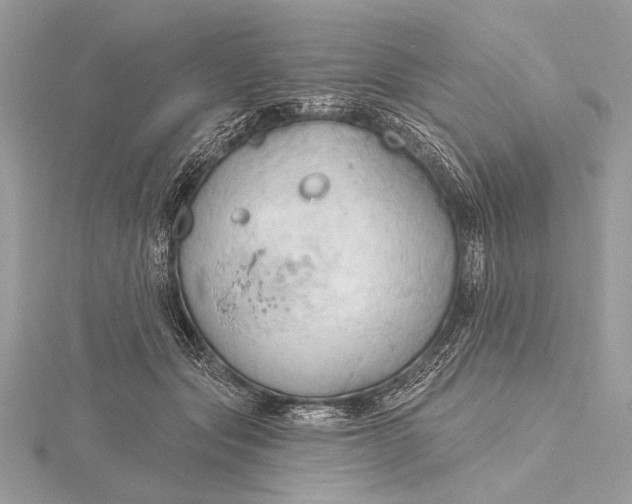 X0000115790557200912041515