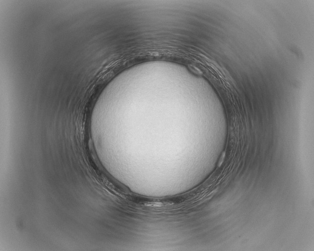 X0000115790558200912041515