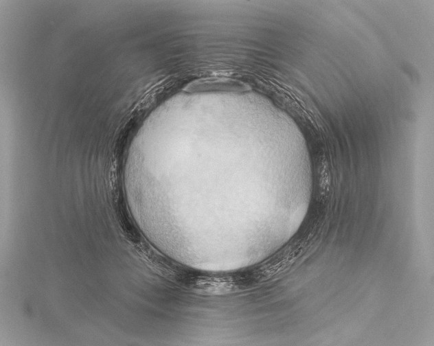 X0000115790559200912041515