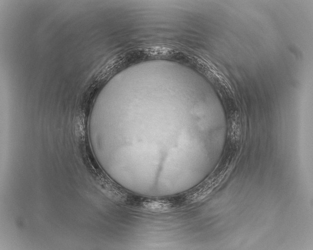 X0000115790561200912041515