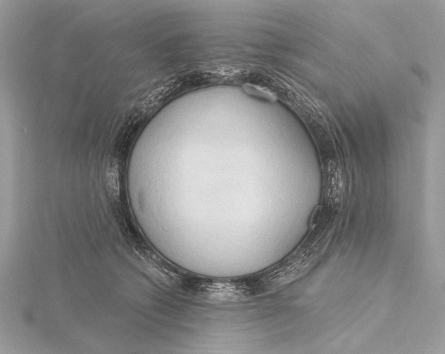 X0000115790562200912041515