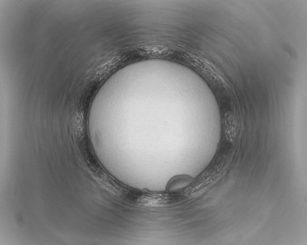 X0000115790563200912041515