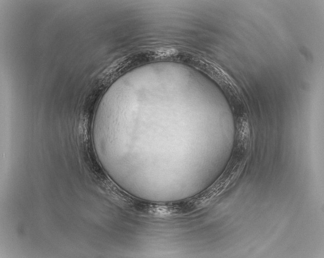 X0000115790565200912041515