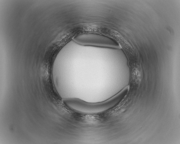 X0000115790566200912041515