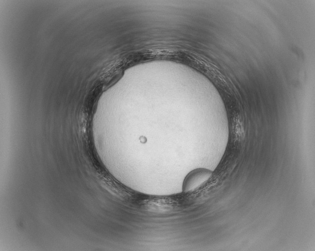 X0000115790567200912041515