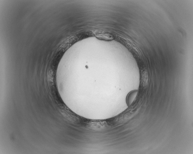 X0000115790571200912041515