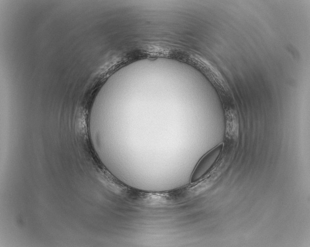 X0000115790573200912041515