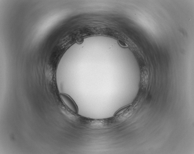 X0000115790574200912041515