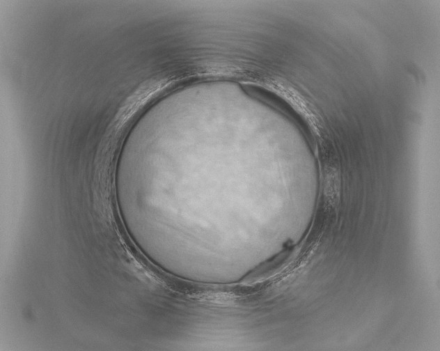 X0000115790577200912041514