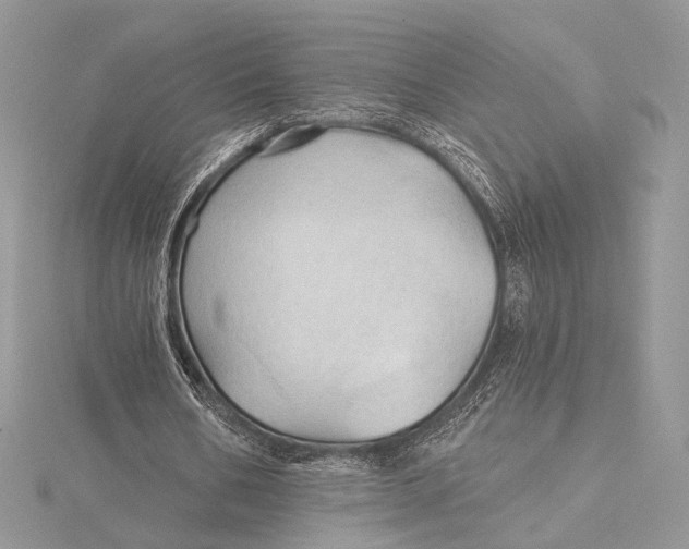 X0000115790578200912041514