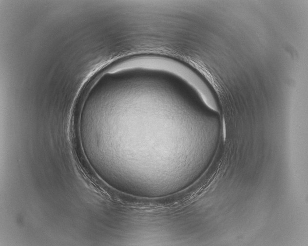 X0000115790579200912041514