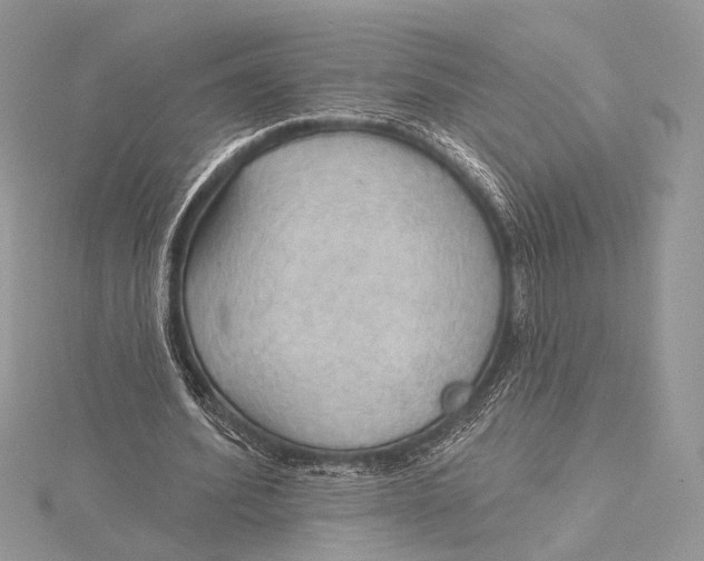 X0000115790580200912041514