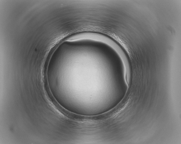 X0000115790581200912041514