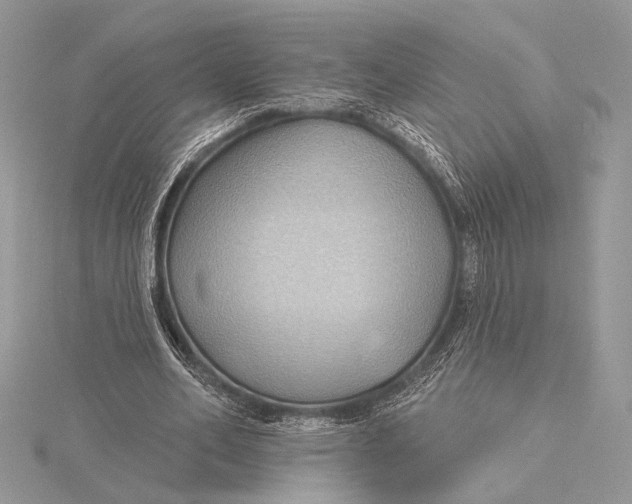 X0000115790582200912041514