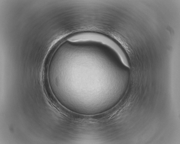 X0000115790583200912041514