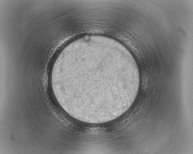 X0000115790584200912041514