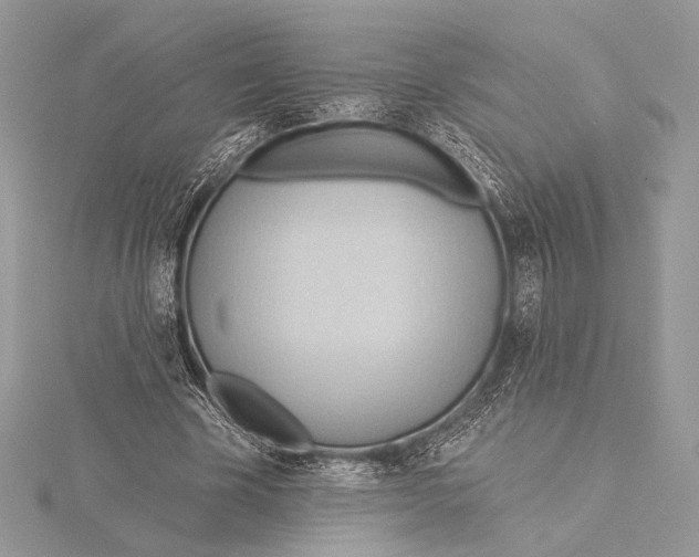 X0000115790585200912041514