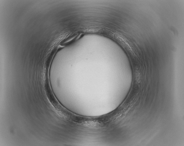 X0000115790586200912041514