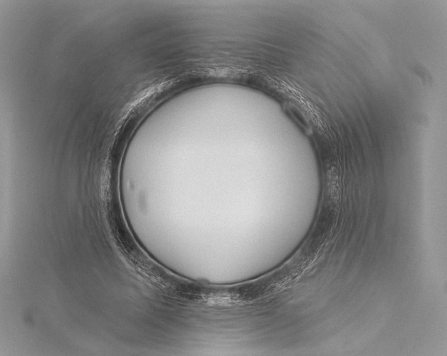 X0000115790587200912041514