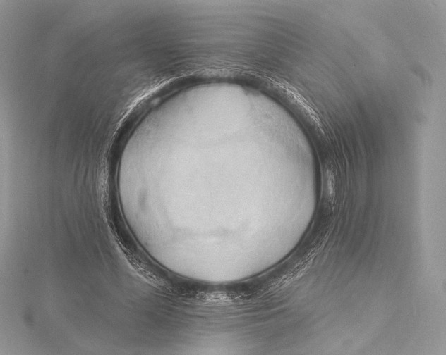 X0000115790588200912041514