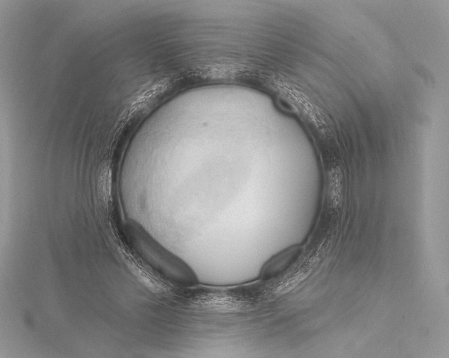 X0000115790589200912041514