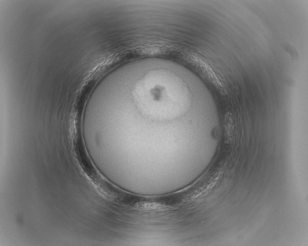 X0000115790590200912041514