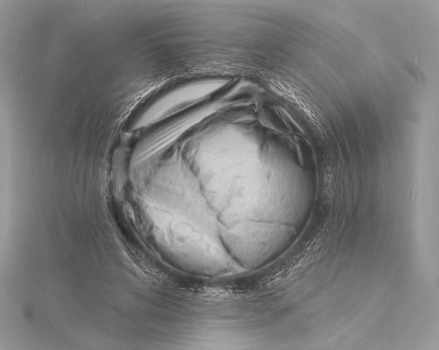 X0000115790592200912041514