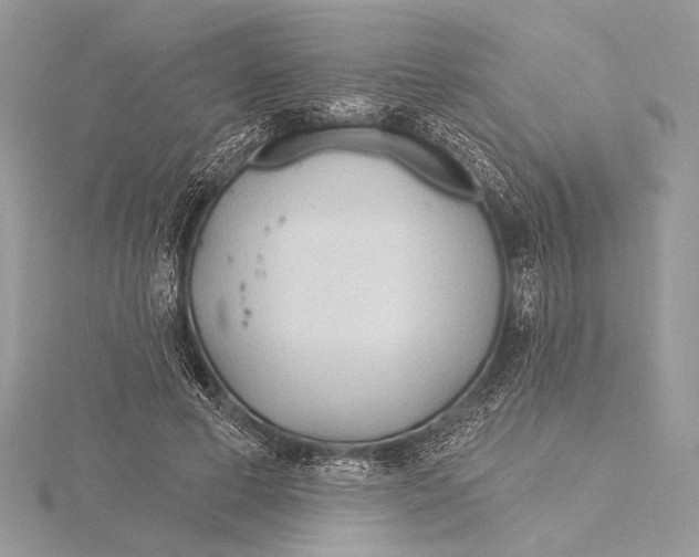 X0000115790593200912041514