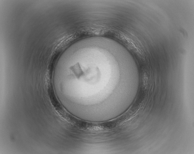 X0000115790594200912041514