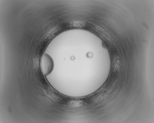 X0000115790595200912041514