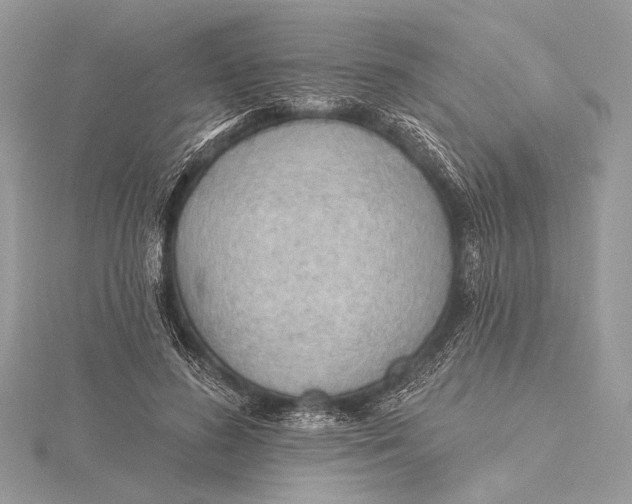 X0000115790596200912041514